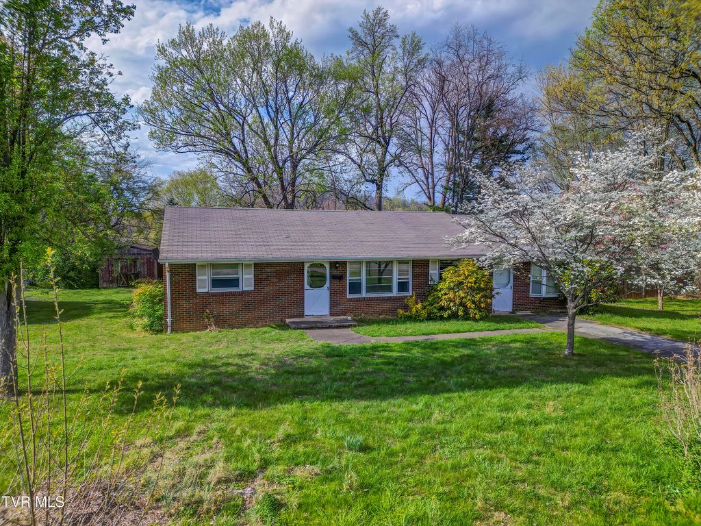 1302 Oxford Place, Johnson City, TN 37601