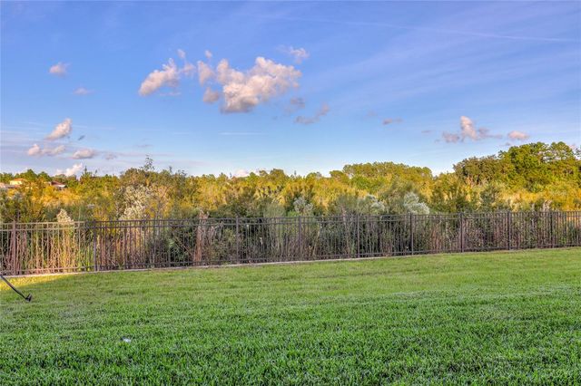 3124 HILLIARD DRIVE, Wesley Chapel, FL 33543