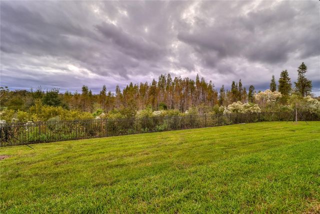 3124 HILLIARD DRIVE, Wesley Chapel, FL 33543