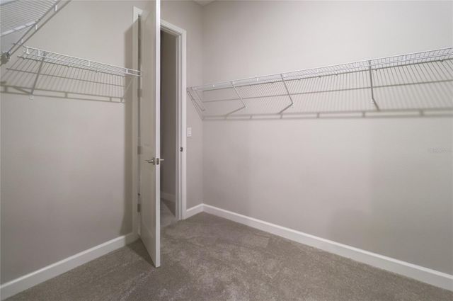 3124 HILLIARD DRIVE, Wesley Chapel, FL 33543