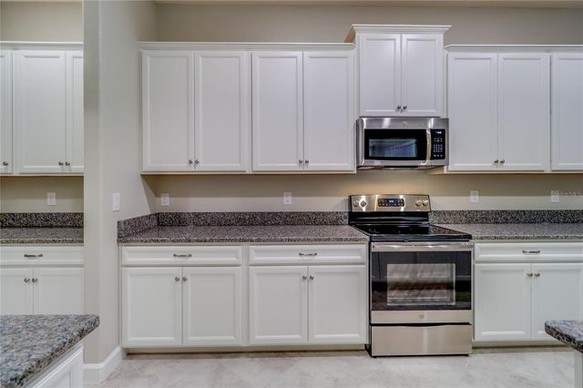 3124 HILLIARD DRIVE, Wesley Chapel, FL 33543