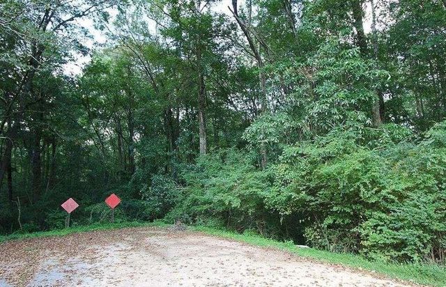 0 Freeman Drive, Stockbridge, GA 30281