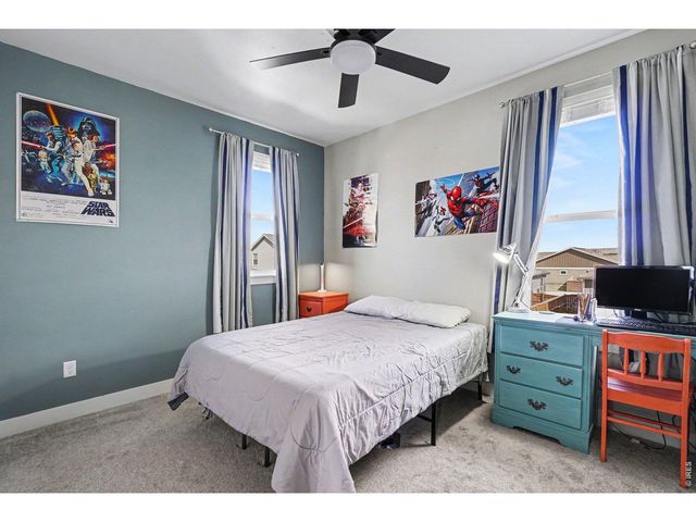 7450 Eustis Dr, Wellington, CO 80549