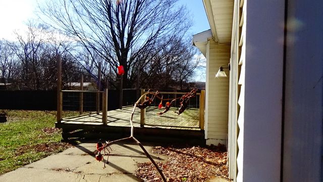 253 Leaver Street, Vernon, MI 48476