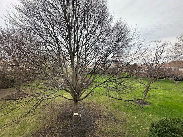 848 Chasefield Lane 3, Crystal Lake, IL 60014