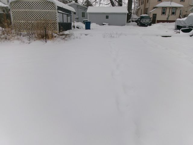 319 N Chestnut Street, Princeton, IL 61356