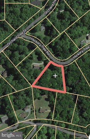 00 HICKORY TREE ROAD, Front Royal, VA 22630
