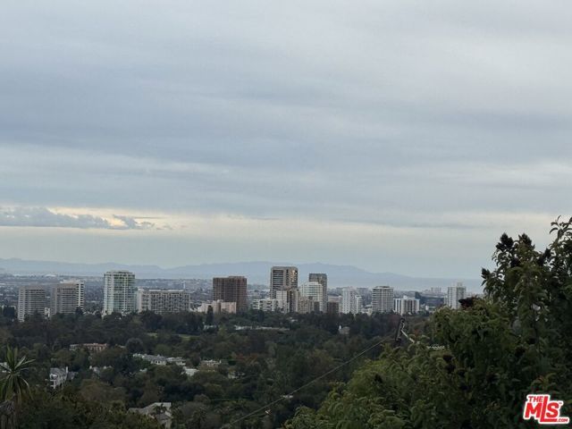 9920 Beverly Grove Drive, Beverly Hills, CA 90210