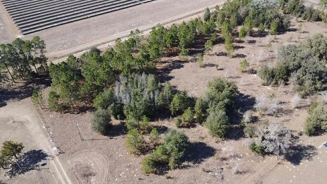 NE 101 STREET, Archer, FL 32618