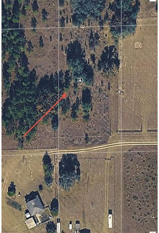 NE 101 STREET, Archer, FL 32618