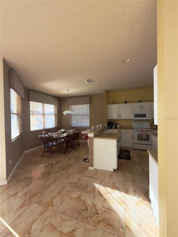 313 HIGHER COMBE DRIVE, Davenport, FL 33897