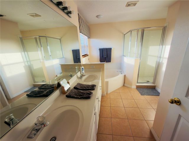 313 HIGHER COMBE DRIVE, Davenport, FL 33897