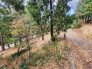 24397 Horst Drive, Crestline, CA 92325