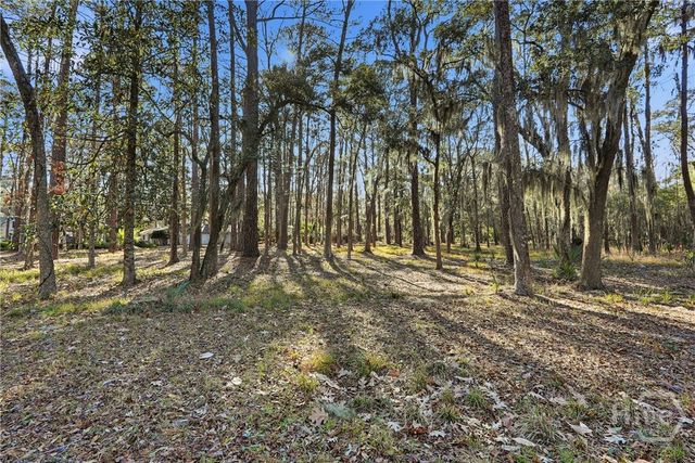 501 Wau Bun Drive, Savannah, GA 31419