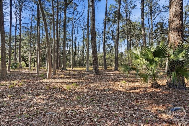 501 Wau Bun Drive, Savannah, GA 31419