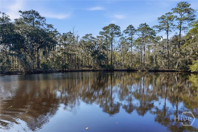 501 Wau Bun Drive, Savannah, GA 31419