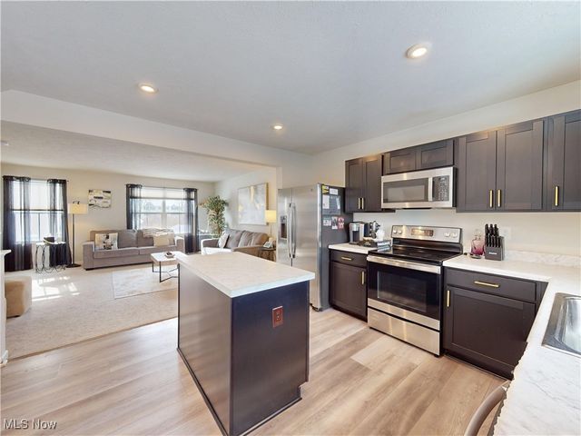 780 Pine Spring Drive, Painesville, OH 44077