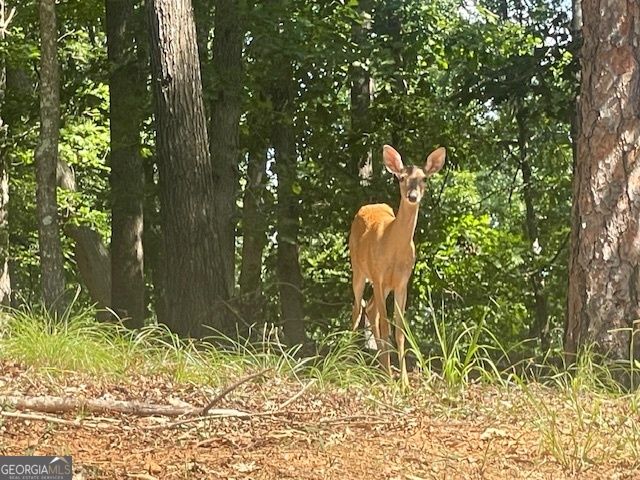 329 Greenleaf Drive, Lavonia, GA 30553