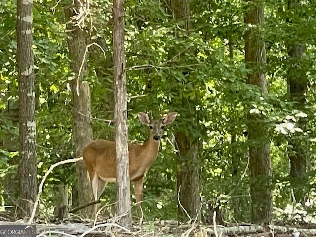 329 Greenleaf Drive, Lavonia, GA 30553