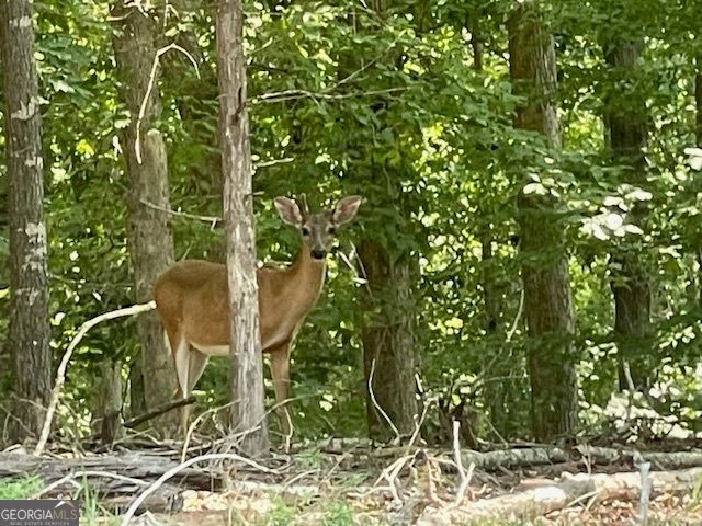 329 Greenleaf Drive, Lavonia, GA 30553