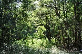 0 Boothe Road, Fairhope, AL 36532
