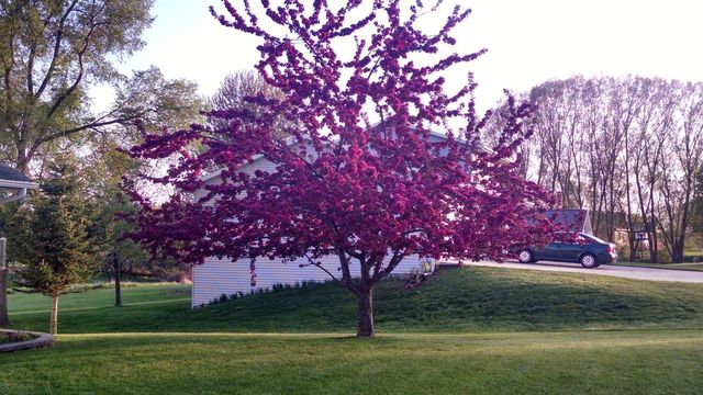 640 Mooreland Circle, Portage, WI 53901