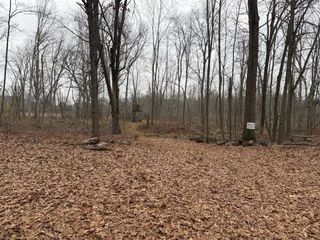 Burtch Road, Grass Lake, MI 49240