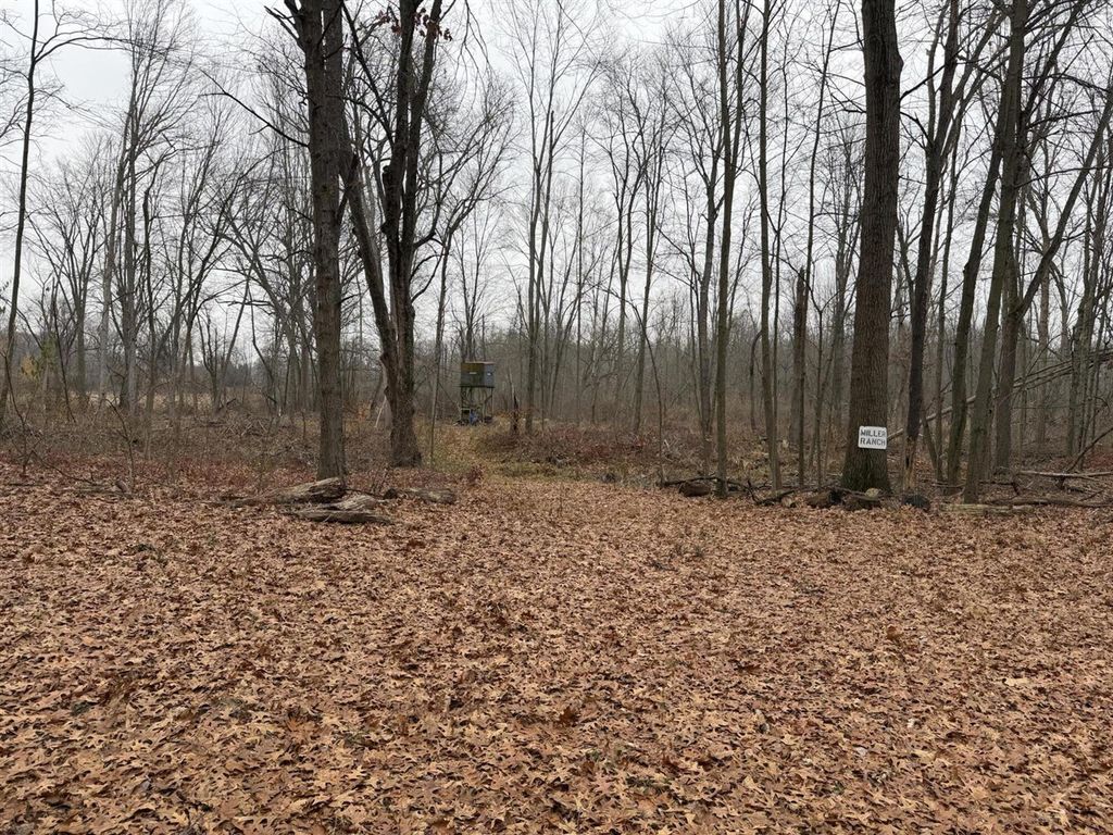 Burtch Road, Grass Lake, MI 49240