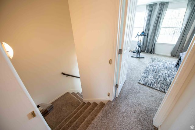 312 N 1260 W, Provo, UT 84601