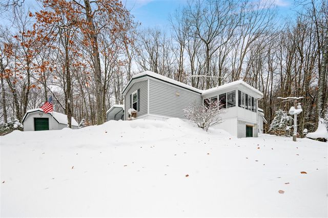 10370 Schwyz Drive, Reed City, MI 49677