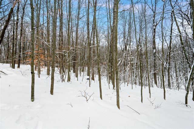 10370 Schwyz Drive, Reed City, MI 49677