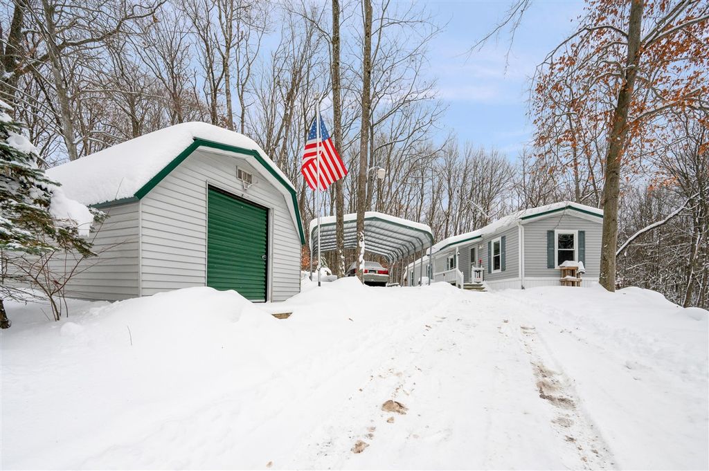 10370 Schwyz Drive, Reed City, MI 49677