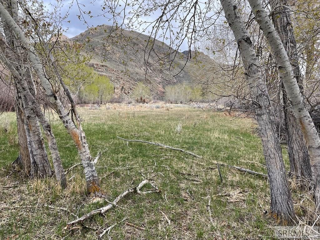 Image 4 of property listing at Lot3,4,5 River's Edge Rd, Challis, ID 83226