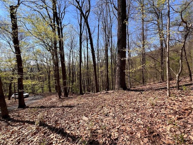 4546 Sassafras Court, Jasper, GA 30143