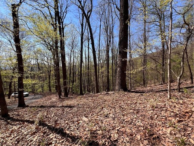 4546 Sassafras Court, Jasper, GA 30143