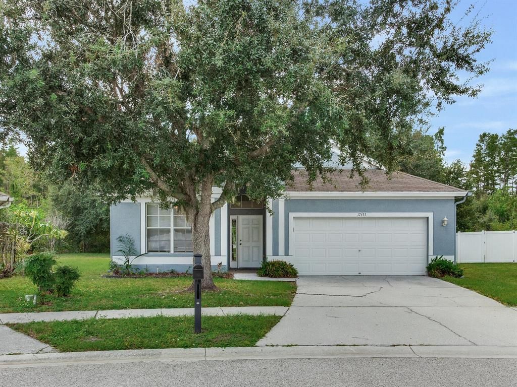 17433 LAWN ORCHID LOOP, Land O Lakes, FL 34638