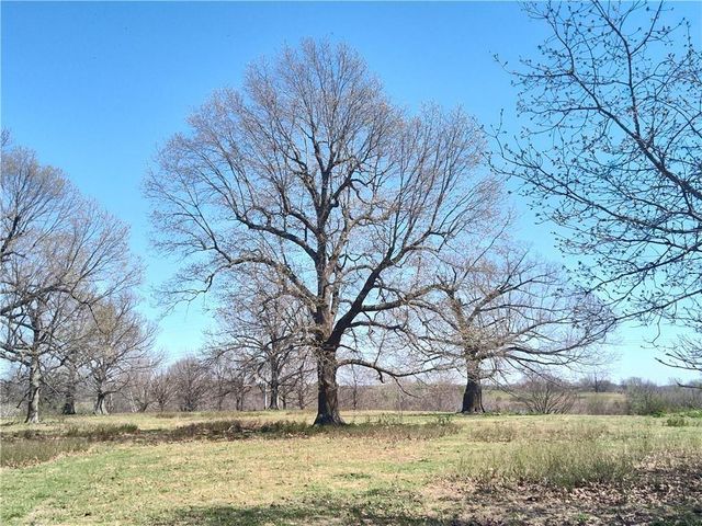 40acres Hewitt Springs Road, Springdale, AR 72764