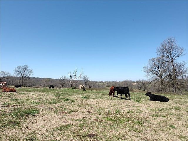 40acres Hewitt Springs Road, Springdale, AR 72764