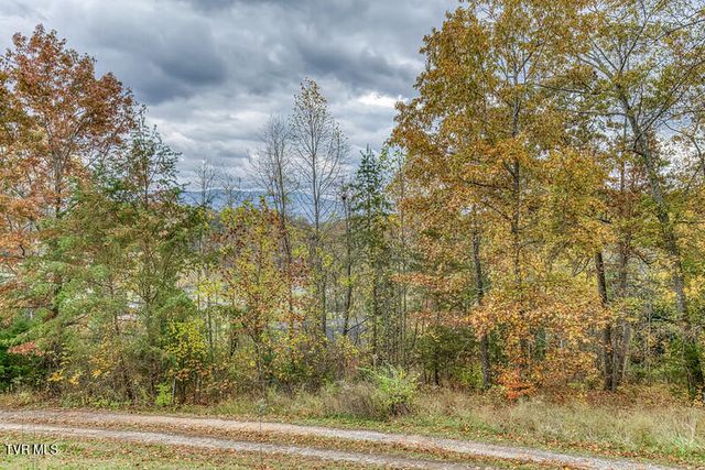 618 Henson Road, Bristol, TN 37620