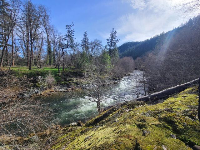 1682 Brown Road, Applegate, OR 97530