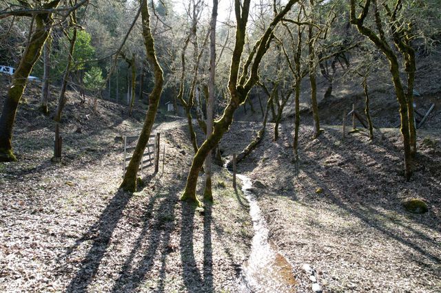 1682 Brown Road, Applegate, OR 97530