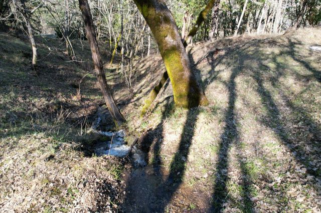 1682 Brown Road, Applegate, OR 97530