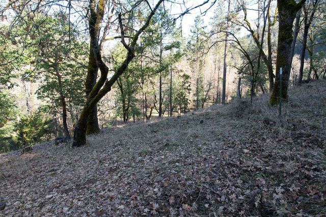 1682 Brown Road, Applegate, OR 97530