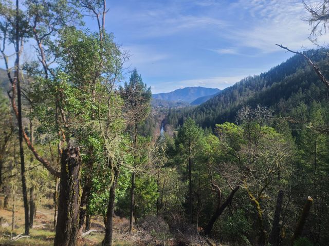 1682 Brown Road, Applegate, OR 97530