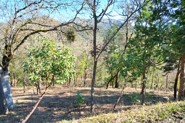 1682 Brown Road, Applegate, OR 97530