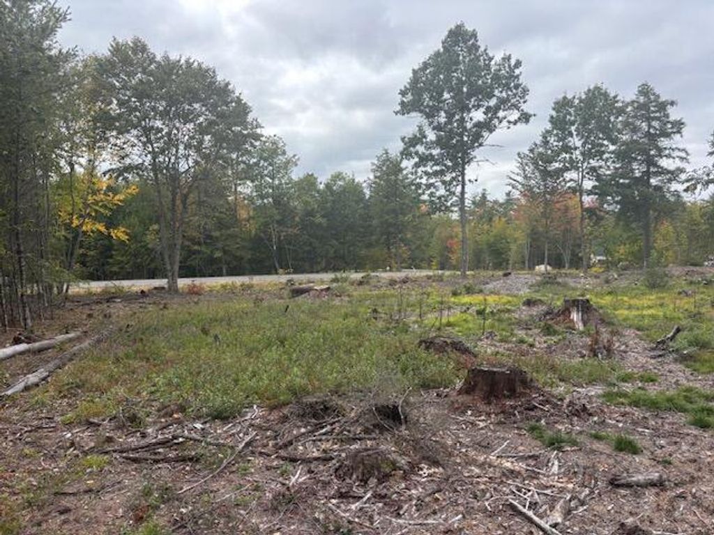 Lot #2 Branch View, Alfred, ME 04002 — photo 3