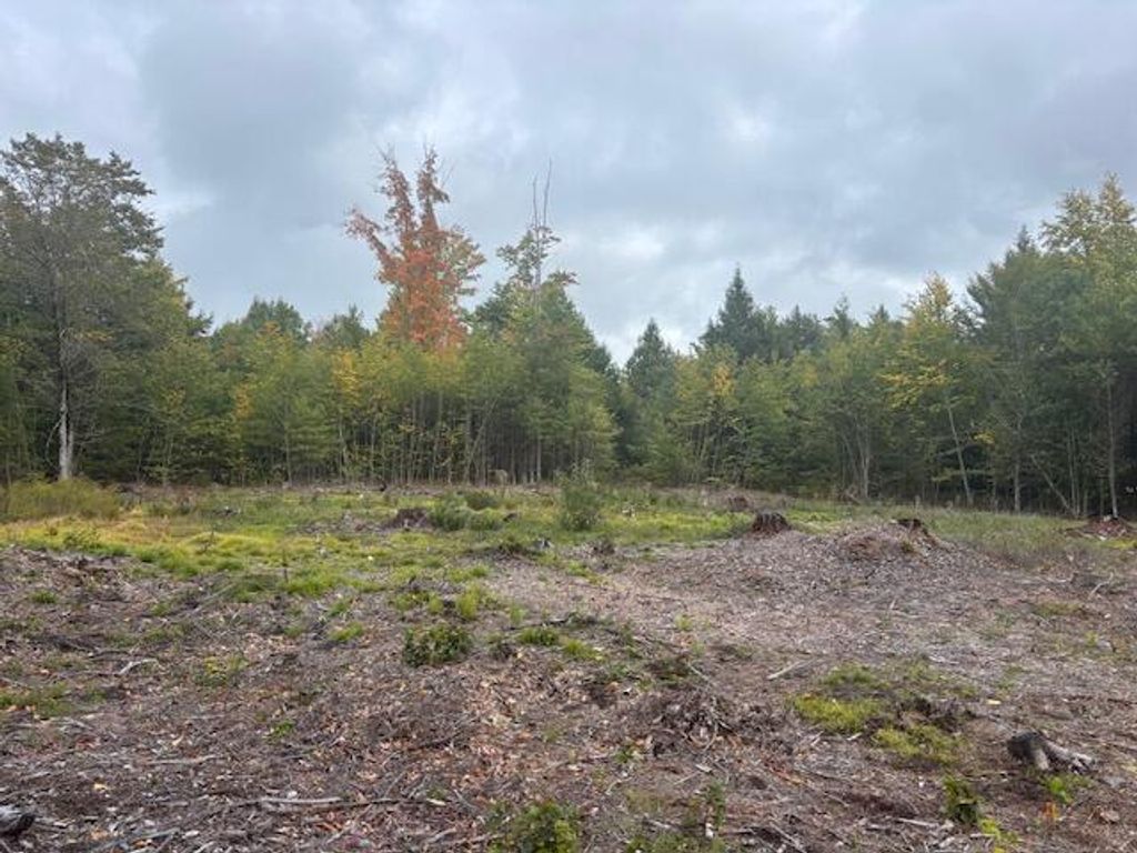 Lot #2 Branch View, Alfred, ME 04002 — photo 4