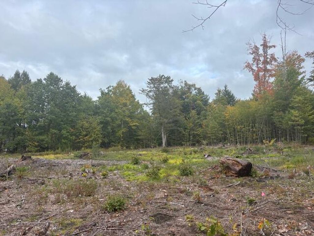 Lot #2 Branch View, Alfred, ME 04002 — photo 5