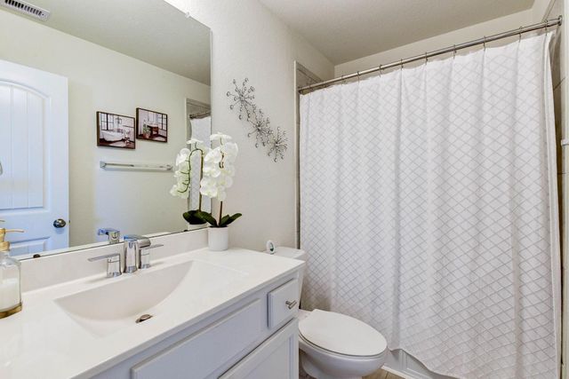 25719 Bottlebrush Sedge Street, Katy, TX 77493