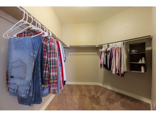 4373 Lemon Grass Dr, Johnstown, CO 80534
